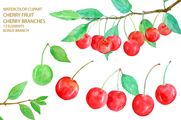 Watercolor Red Cherry Clipart in Illustrations - product preview 3