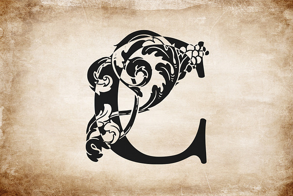 Ampersand monogram or logo in Illustrations - product preview 2