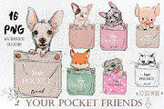 Your Pocket Friends