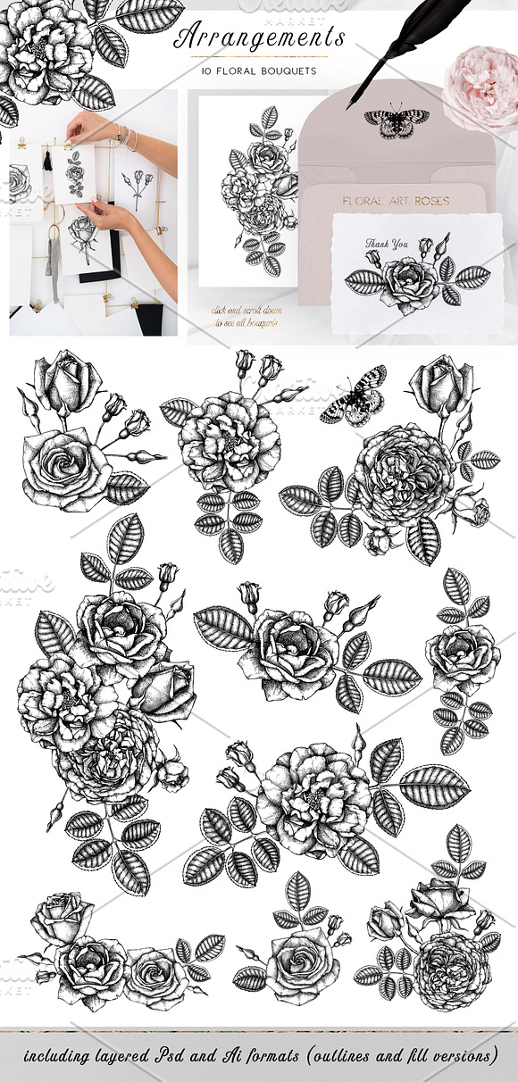 Hand Drawn Roses Collection in Illustrations - product preview 1