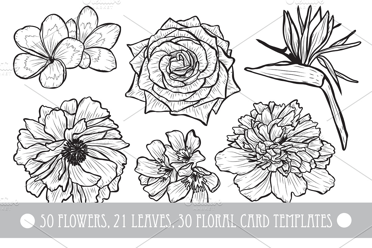 50 Hand Drawn Decorative Flowers Set in Illustrations - product preview 8