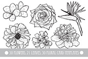 50 Hand Drawn Decorative Flowers Set