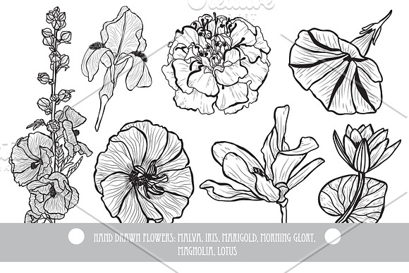 50 Hand Drawn Decorative Flowers Set in Illustrations - product preview 1