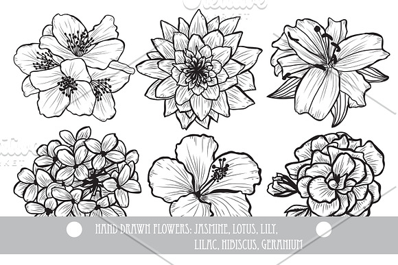 50 Hand Drawn Decorative Flowers Set in Illustrations - product preview 2