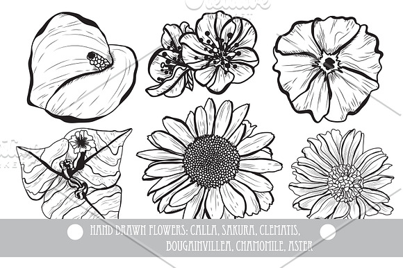 50 Hand Drawn Decorative Flowers Set in Illustrations - product preview 4