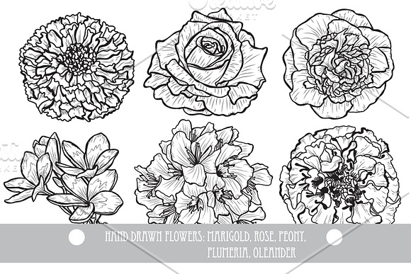 50 Hand Drawn Decorative Flowers Set in Illustrations - product preview 7