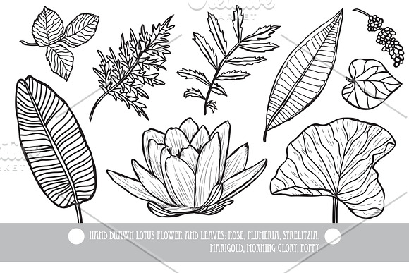 50 Hand Drawn Decorative Flowers Set in Illustrations - product preview 8