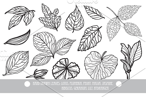 50 Hand Drawn Decorative Flowers Set in Illustrations - product preview 9
