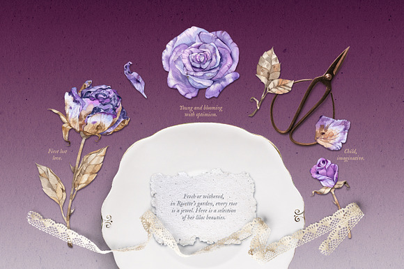 Miss Rosette's Flowers in Illustrations - product preview 1