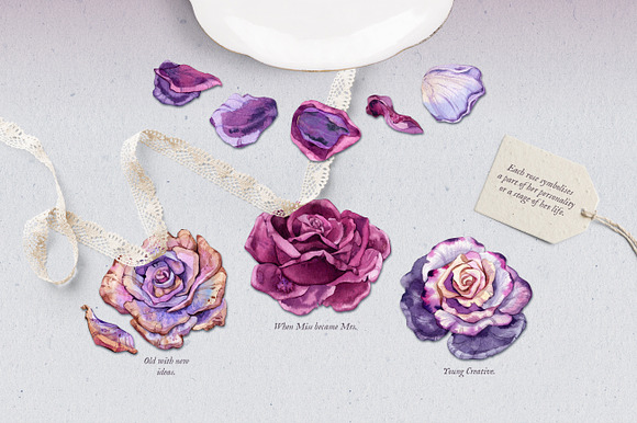 Miss Rosette's Flowers in Illustrations - product preview 2