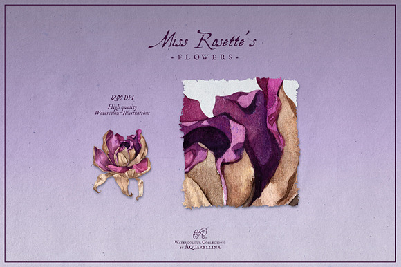 Miss Rosette's Flowers in Illustrations - product preview 5