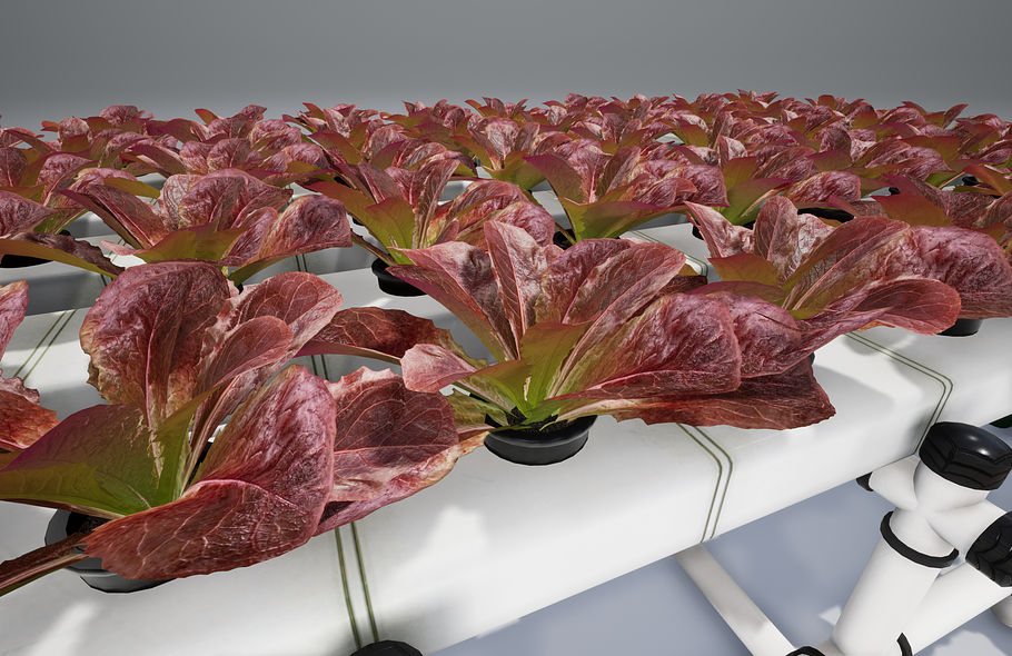 Hydroponics system LG in Nature - product preview 16