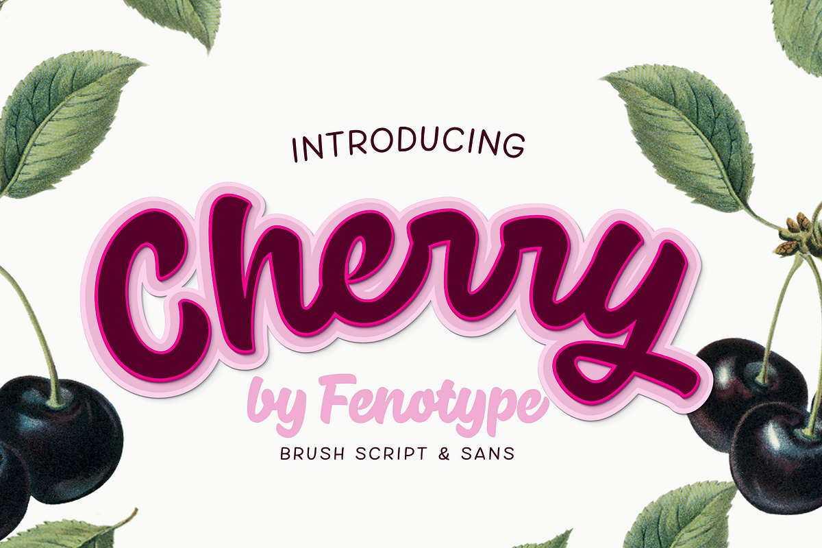 Cherry Font pack intro sale in Script Fonts - product preview 8