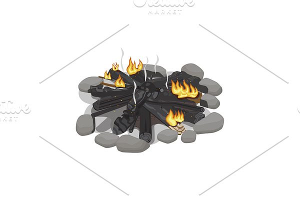 Dark Burnt Firewood with Weak Flame