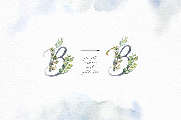 Floral Alphabets. Bundle of Five ABC in Illustrations - product preview 10