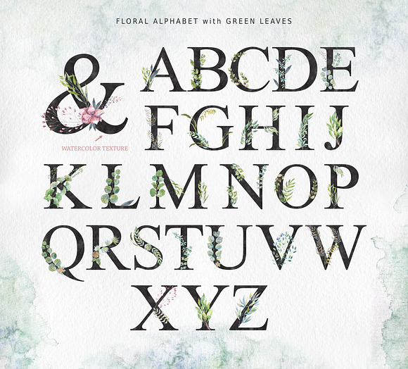 Floral Alphabets. Bundle of Five ABC in Illustrations - product preview 12
