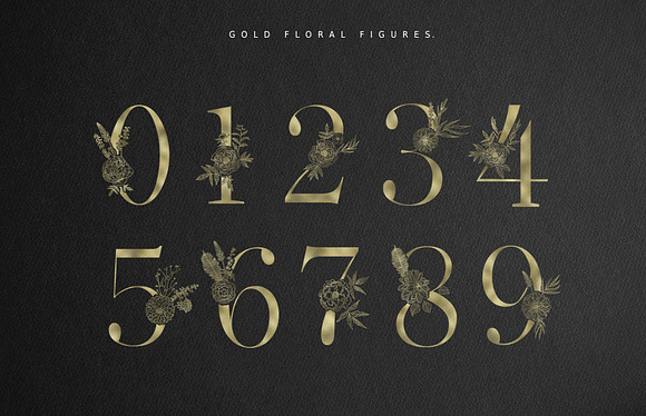 Floral Alphabets. Bundle of Five ABC in Illustrations - product preview 14