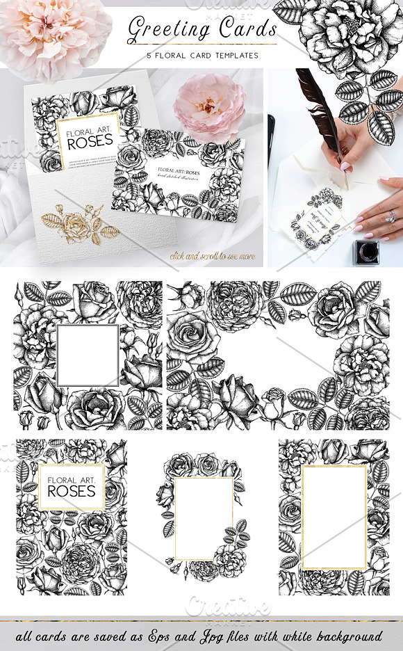 Hand Drawn Roses Collection in Illustrations - product preview 4