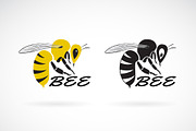 Vector of bee design. Insect. Animal