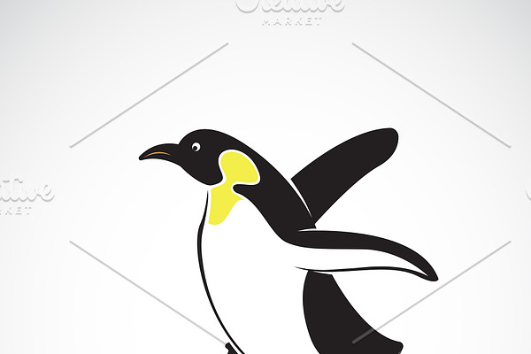 Vector of penguin design. Animal.