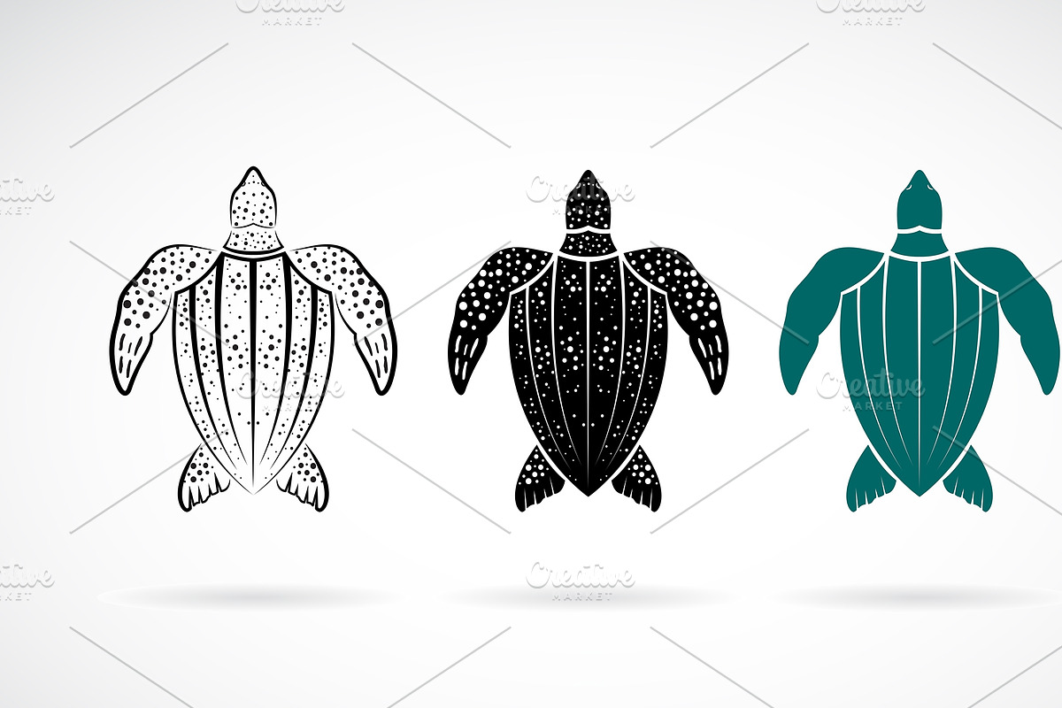 Vector of gooseberry turtle design. in Icons - product preview 8