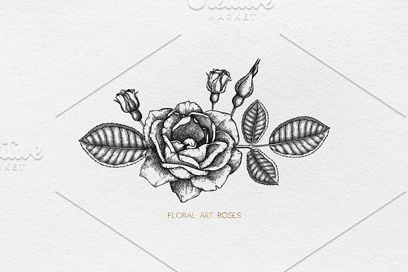 Hand Drawn Roses Collection in Illustrations - product preview 7