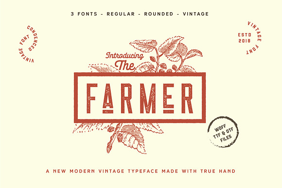 Retro Vintage Font Collection in Retro Fonts - product preview 1