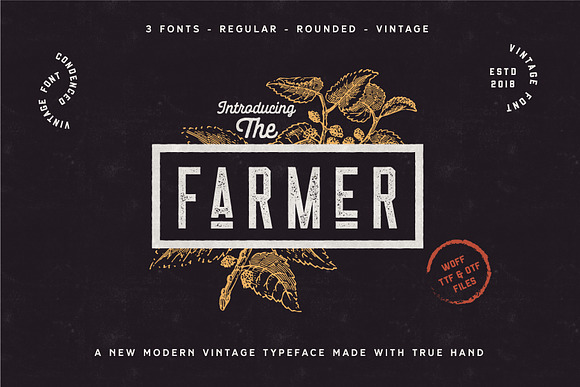 Retro Vintage Font Collection in Retro Fonts - product preview 2