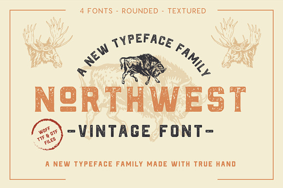 Retro Vintage Font Collection in Retro Fonts - product preview 14