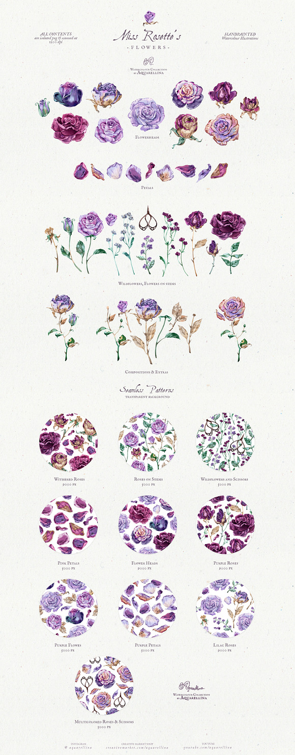Miss Rosette's Flowers in Illustrations - product preview 11