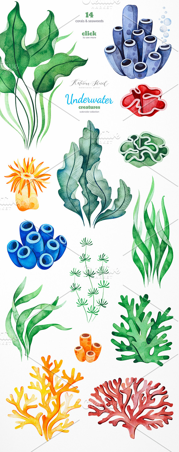Underwater Creatures. in Illustrations - product preview 2