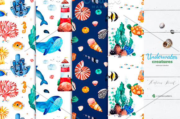 Underwater Creatures. in Illustrations - product preview 7