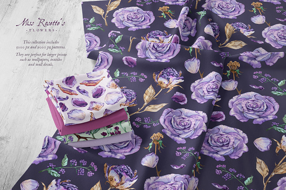 Miss Rosette's Flowers in Illustrations - product preview 12