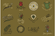 Flower shop emblems and logo