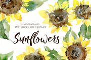 Watercolor Sunflower Flowers Leaves