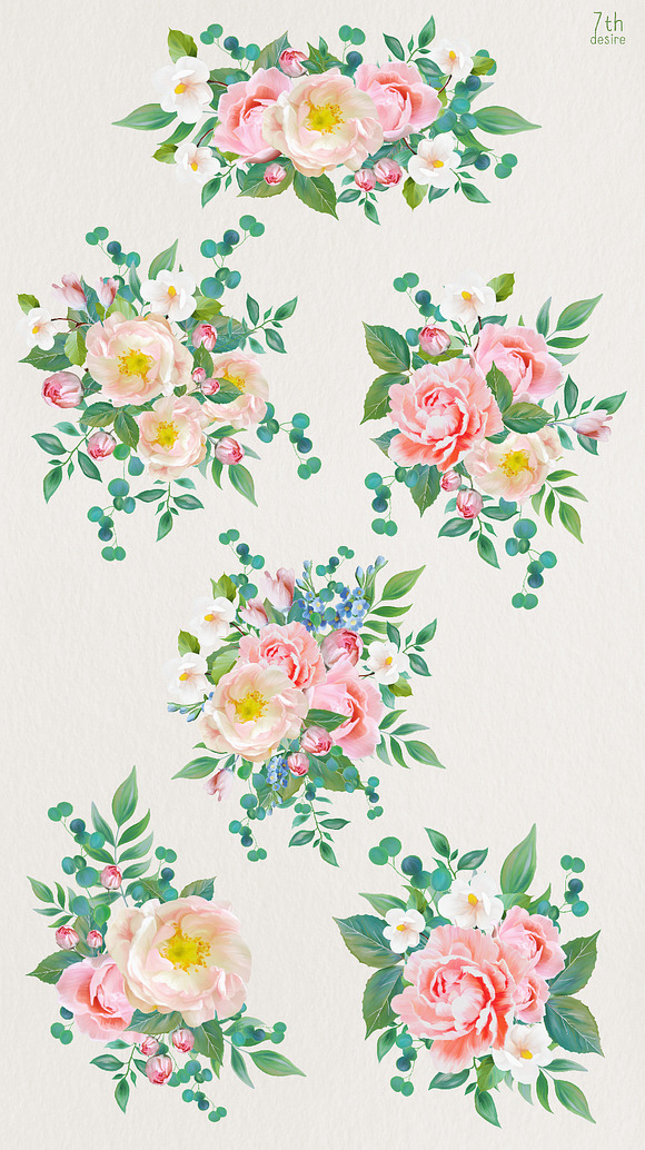 Paeonia in Illustrations - product preview 2