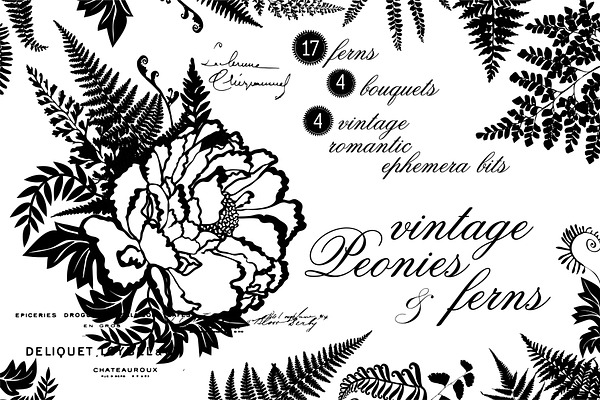 Vintage Peonies and Ferns Graphics
