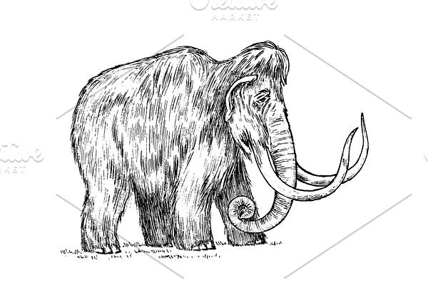 Big mammoth. Extinct animal