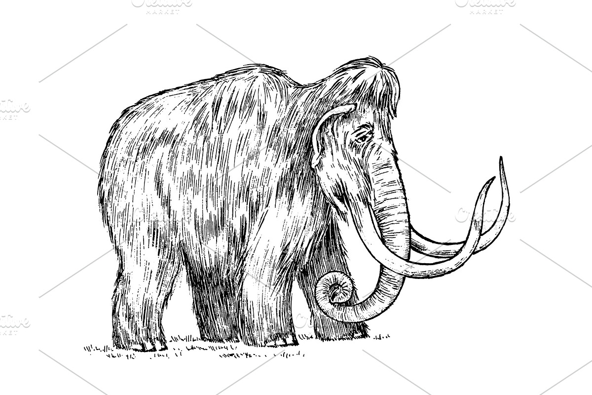 Big mammoth. Extinct animal in Illustrations - product preview 8