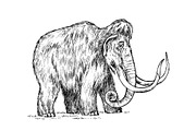 Big mammoth. Extinct animal