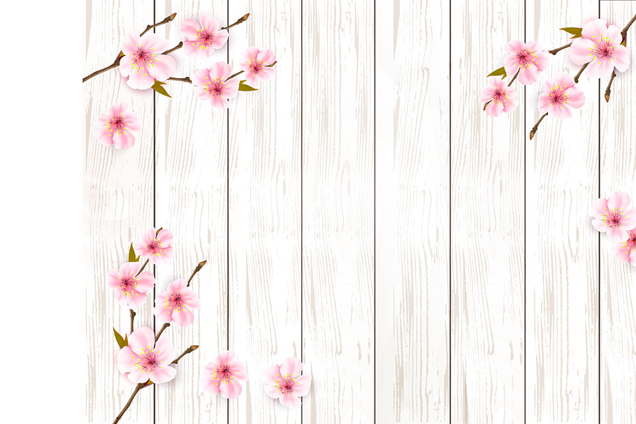 Sakura japan cherry branch. Vector in Illustrations - product preview 8
