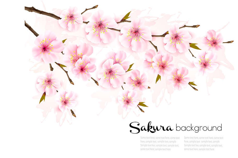 Spring nature background with sakura in Illustrations - product preview 8