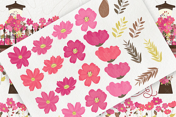Cosmos 01 - Flower Clipart &Vector in Illustrations - product preview 4