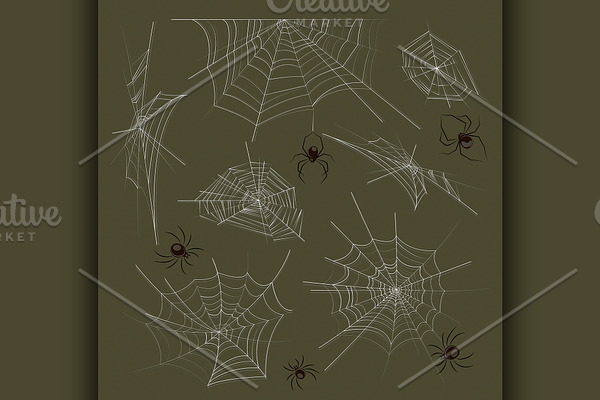 Collection of spiders and webs