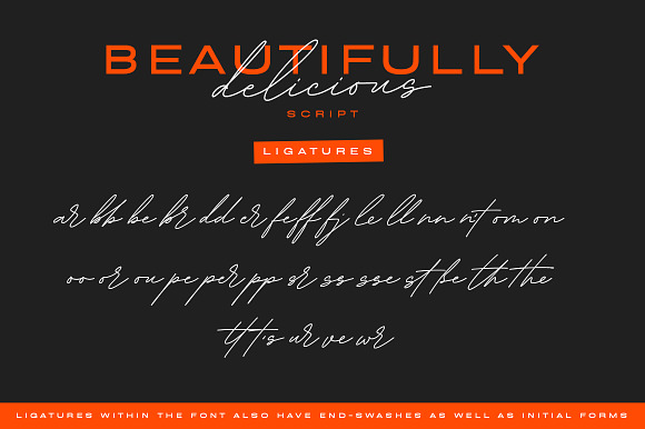 Beautifully Delicious Value Pack in Fonts - product preview 11