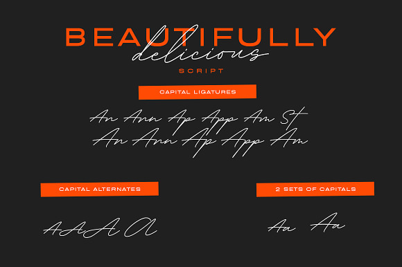 Beautifully Delicious Value Pack in Fonts - product preview 12