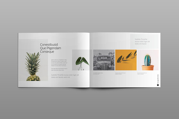 Portfolio Brochure Landscape in Brochure Templates - product preview 6