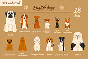 Collection of different dogs