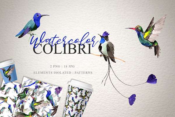 Colibri Watercolor png