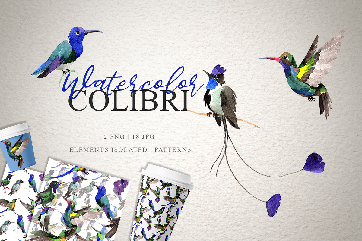 Colibri Watercolor png in Illustrations - product preview 8